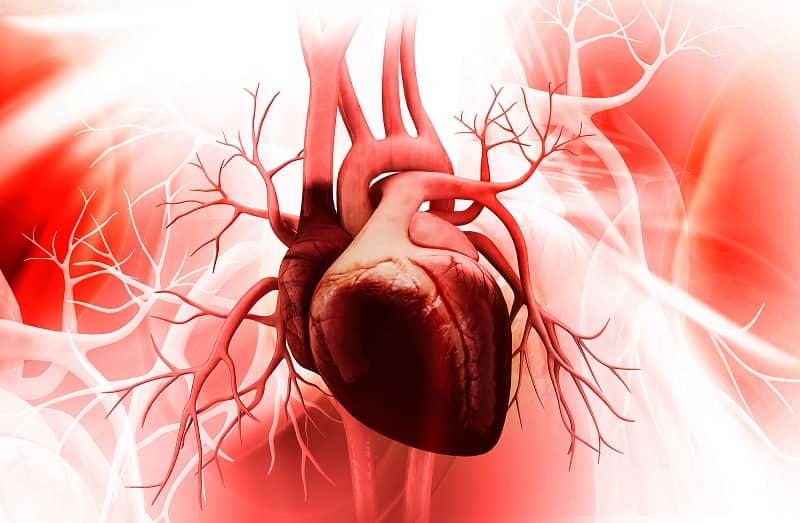 بیماریهای دریچه ای قلبی در سالمندان