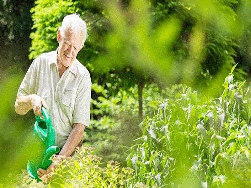 فعالیت مثبت برای سالمندان