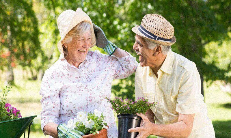 عوامل موثر در موفقیت سالمندان